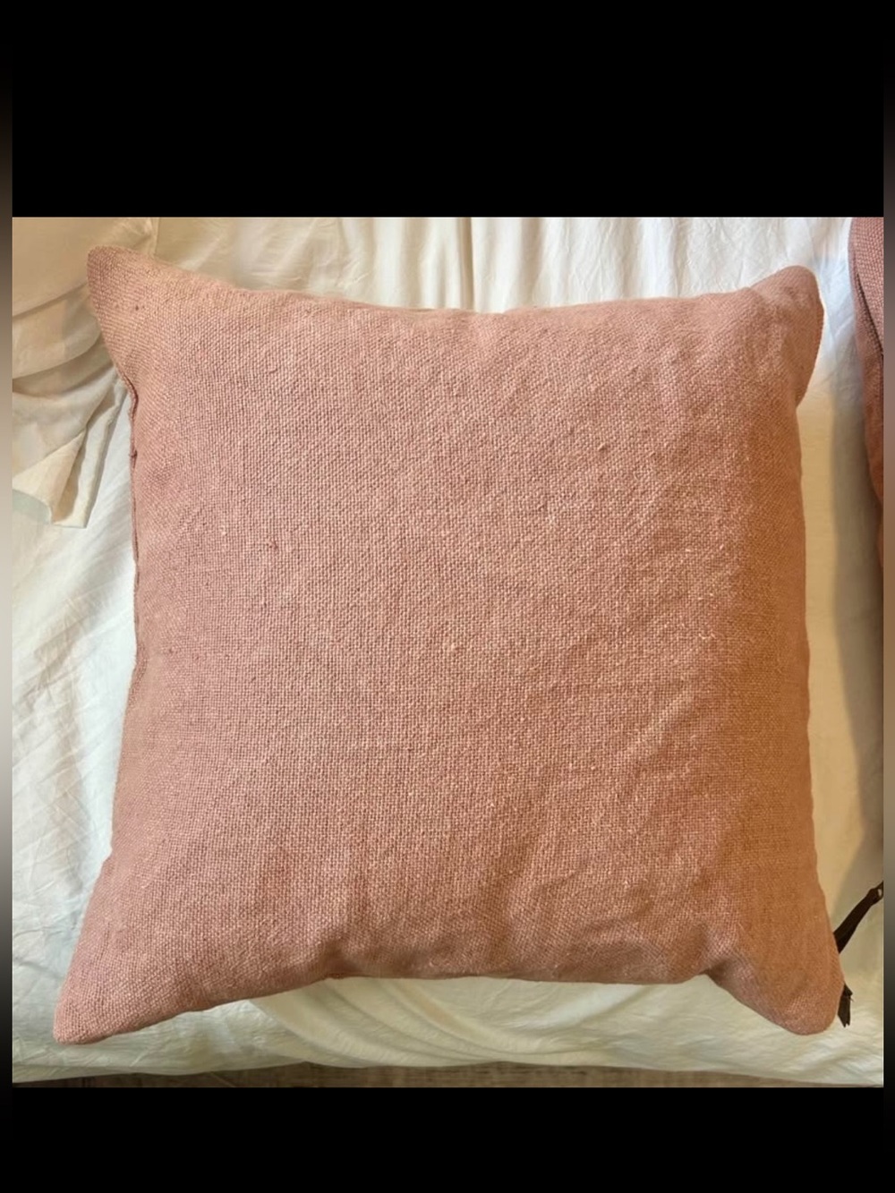 Pottery Barn linen throw pillows (20"x20") (2)